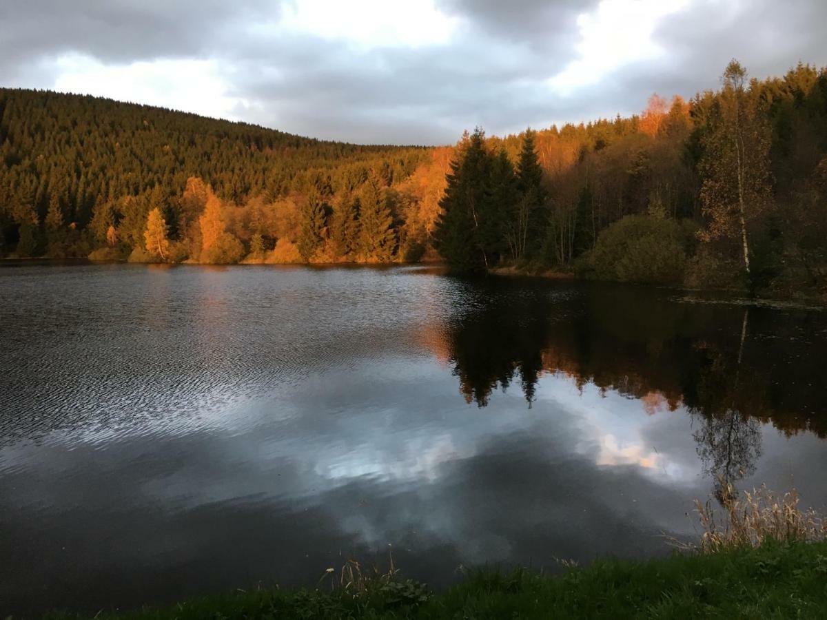 Moderne Und Komfortable Appartements Im Ferienpark Hahnenklee جوسلار المظهر الخارجي الصورة